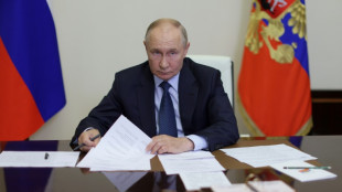 Putin acusa Ucr&acirc;nia de tentar bombardear usina nuclear