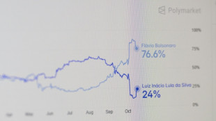 Brazil's right embraces election betting odds amid polls skepticism