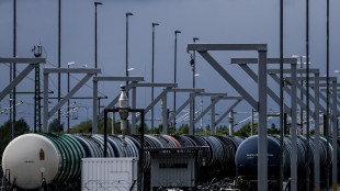 Il petrolio apre in lieve rialzo, Wti a 68,85 dollari (+0,16%)