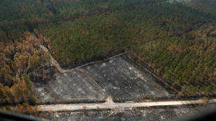 Incendies en Gironde: le feu de Landiras "désormais fixé"