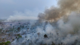 Les feux &agrave; un niveau historiquement bas en 2025 en Amazonie br&eacute;silienne
