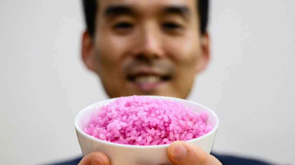 Cientistas sul-coreanos criam arroz com alta concentração de proteínas
