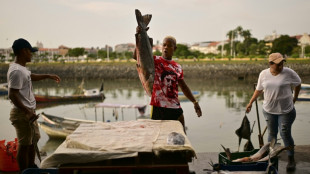 Empty nets in Latin America as fish flee El Nino