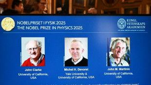 El Nobel de Física premia a descubridores del efecto túnel cuántico
