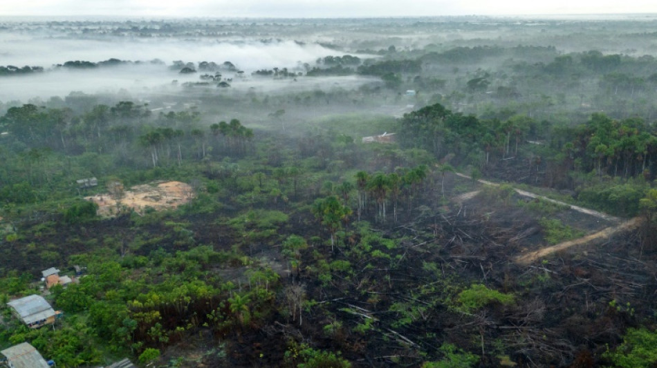 "Les incendies, &ccedil;a suffit!": en Amazonie, des habitants r&eacute;volt&eacute;s face &agrave; l'impunit&eacute;