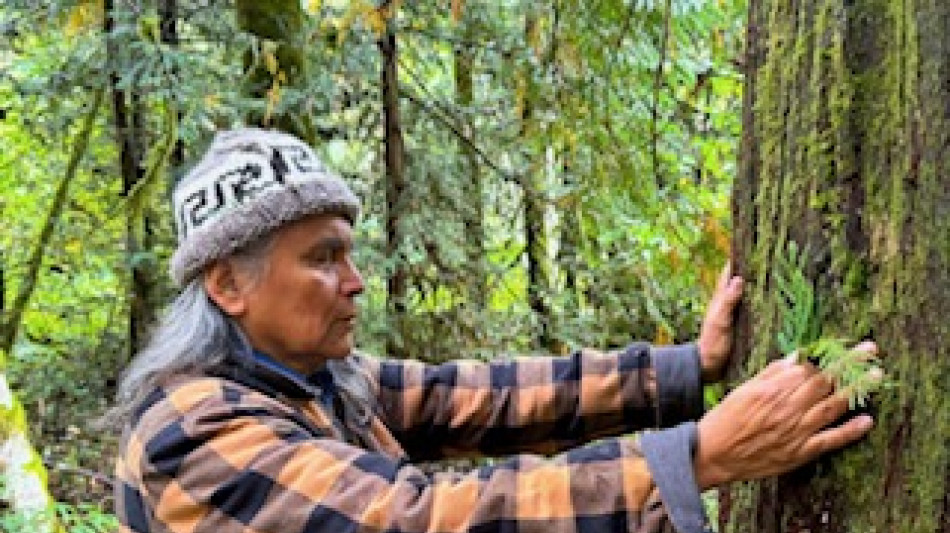 Custodi della Memoria, alla Festa di Roma viaggio tra indigeni della British Columbia