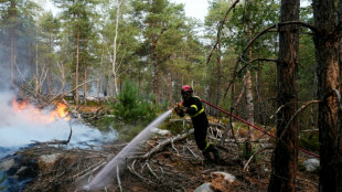 Fontainebleau: le combat continue contre les reprises de feux, deux jeunes pr&eacute;sent&eacute;s &agrave; la justice