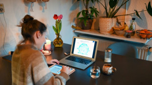 Jeder vierte Erwerbst&auml;tige nutzt Homeoffice - Anteil leicht &uuml;ber EU-Durchschnitt