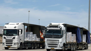 UNO: Hundert Lastwagen mit Hilfslieferungen d&uuml;rfen in den Gazastreifen einfahren