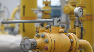Il gas parte in calo (-2,8%) a 30,2 euro al Megawattora