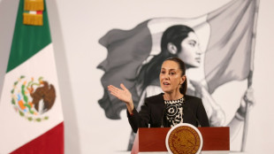 Tarifas de Trump sobre o M&eacute;xico: golpe econ&ocirc;mico e oportunidade para negociar