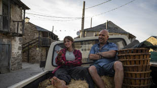 Incassi box office, Buen Camino di Zalone sempre al top, oltre 65 milioni totali