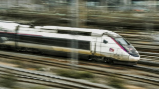 SNCF: la ligne LGV Sud-Est &agrave; l'arr&ecirc;t, 80.000 voyageurs affect&eacute;s