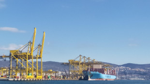 Rallentamento globale pesa sul Porto di Trieste (-4,25%)