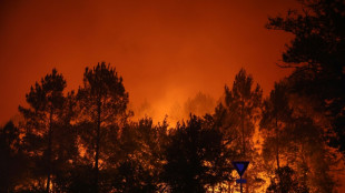 Gironde: 2.400 hectares br&ucirc;l&eacute;s, des milliers d'&eacute;vacu&eacute;s et le spectre de 2022