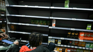 Hamsterk&auml;ufe und Flugstreichungen: Weite Teile der USA wappnen sich f&uuml;r Wintersturm