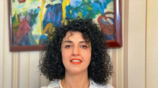 Pr&ecirc;mio Nobel da Paz iraniana Narges Mohammadi encerra greve de fome (fam&iacute;lia)