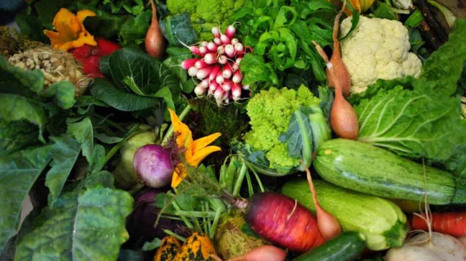 Barmer-Umfrage: Nur jede zweite Familie isst t&auml;glich zusammen 