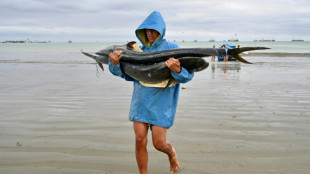 Equador diante do dilema do retorno dos EUA &agrave; sua antiga base militar