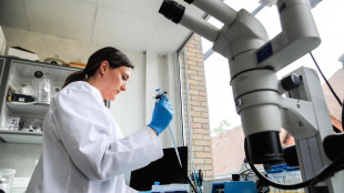 Organoidi di reni svelano le cause della Malattia renale cronica