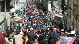 Bolivian leader to slash own salary by 50% in gesture to protesters