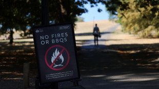 Caldo e incendi in Gb, Burnham evoca un Paese trasformato in 'polveriera'