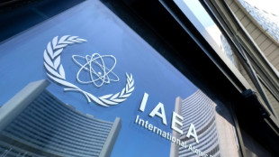 IAEA stresses 'urgency' to verify Iran's nuclear material