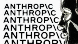 Anthropic's record IPO faces some big questions