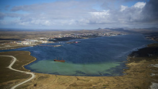 Comunicado oficial argentino causa pol&ecirc;mica por chamar Malvinas de 'Falklands'
