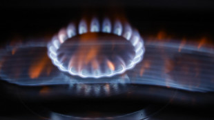 Il prezzo del gas apre in calo a 27,90 euro