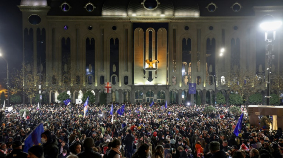 Crise en G&eacute;orgie: des milliers de manifestants pro-UE rassembl&eacute;s &agrave; Tbilissi