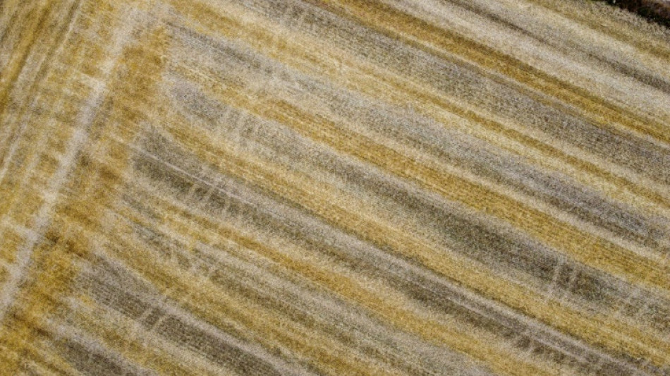 EU-Parlament stimmt über Zölle auf Düngemittel aus Russland und Belarus ab