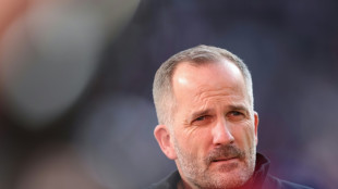 Str&ouml;ll: "Kein besserer Trainer" als Baum f&uuml;r Augsburg
