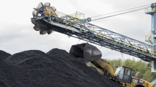 Dop&eacute;e par les d&eacute;boires du nucl&eacute;aire, la centrale de Saint-Avold meurt en bonne sant&eacute;