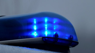 Identit&auml;t von in hessischem Wald gefundener Frauenleiche gekl&auml;rt