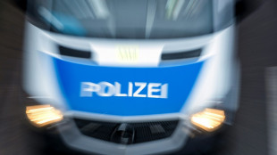 Nordrhein-Westfalen: 16-j&auml;hriger Autofahrer rast Polizei davon und &uuml;berschl&auml;gt sich