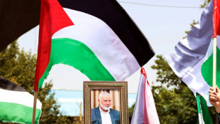 Bombardeio contra l&iacute;der do Hamas em Teer&atilde;, uma nova falha dos servi&ccedil;os iranianos
