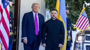 Media, 'incontro con Zelensky teso, Trump è stato duro'