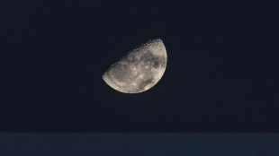 Asi, 'saranno due gli astronauti italiani sulla Luna'
