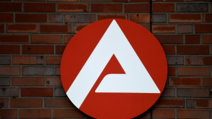 Fehlende Sprachkenntnisse gr&ouml;&szlig;tes Hindernis f&uuml;r Arbeitsaufnahme von Ukrainern
