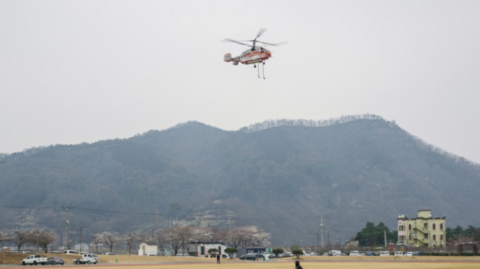 Incendies en Corée du Sud: les flammes reprennent après avoir été éteintes