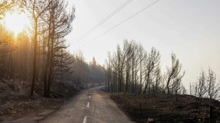 Evac&uacute;an una localidad tur&iacute;stica en Croacia por un violento incendio forestal