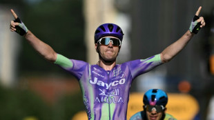 Swiss rider Schmid wins Tour de France stage 13