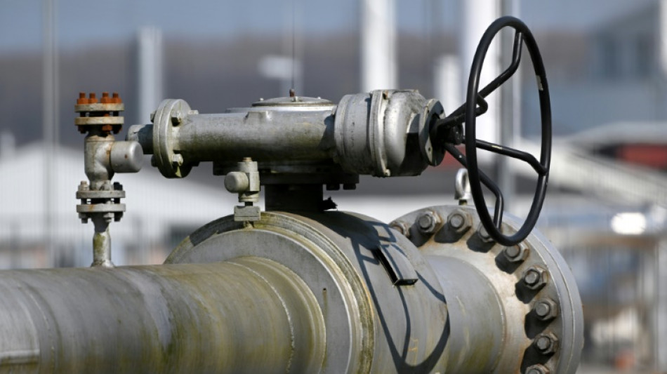 Sozial- und Wirtschaftsverb&auml;nde gegen Energie-Embargo gegen Russland