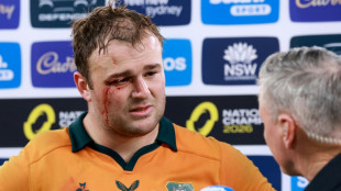 Wallabies expect fast-paced All Blacks in Bledisloe opener