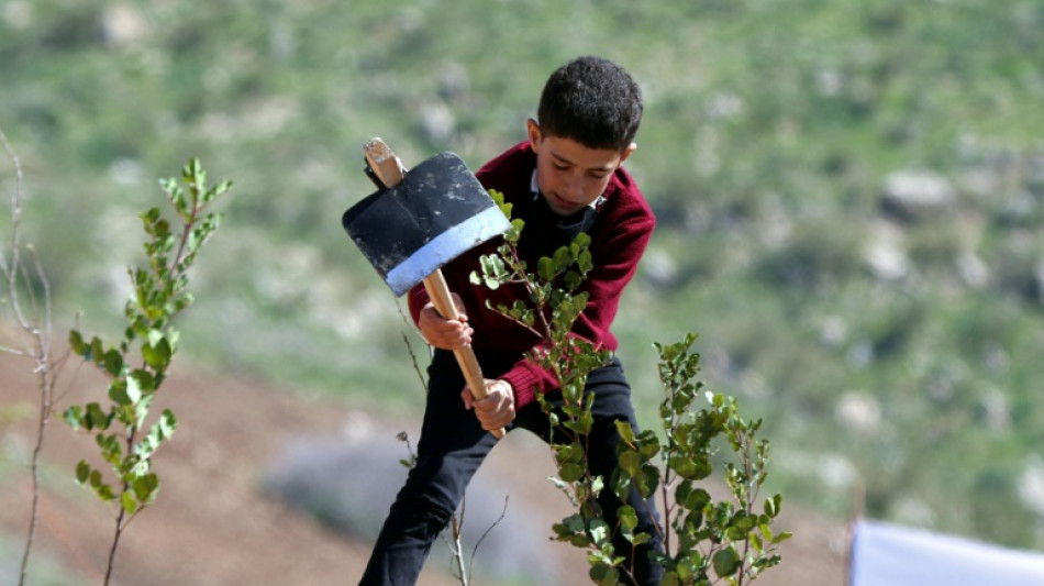 Land-based climate plans 'unrealistic': report
