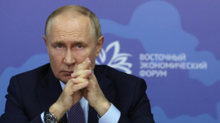 Putin sabia de interfer&ecirc;ncia russa em elei&ccedil;&otilde;es nos EUA (Casa Branca)
