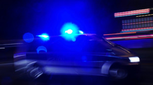 Mehr als 30 Firmentransporter brennen in Berlin - Staatsschutz ermittelt
