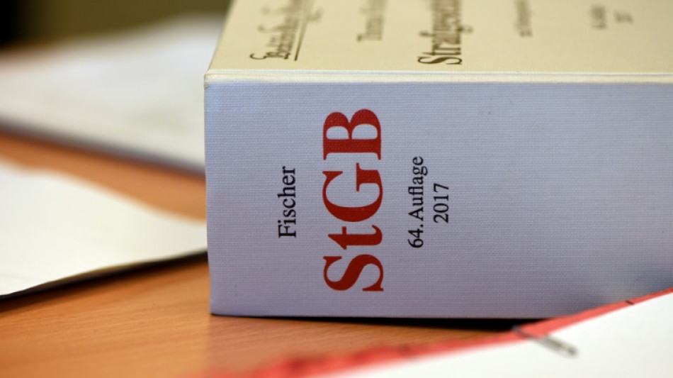 Brandenburger Verfassungsgericht lehnt Eilantrag von AfD gegen Doppelhaushalt ab