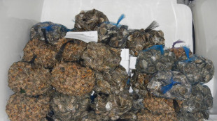 Dall'igiene dei cibi al vaccino, vademecum dell'Iss contro l'epatite A